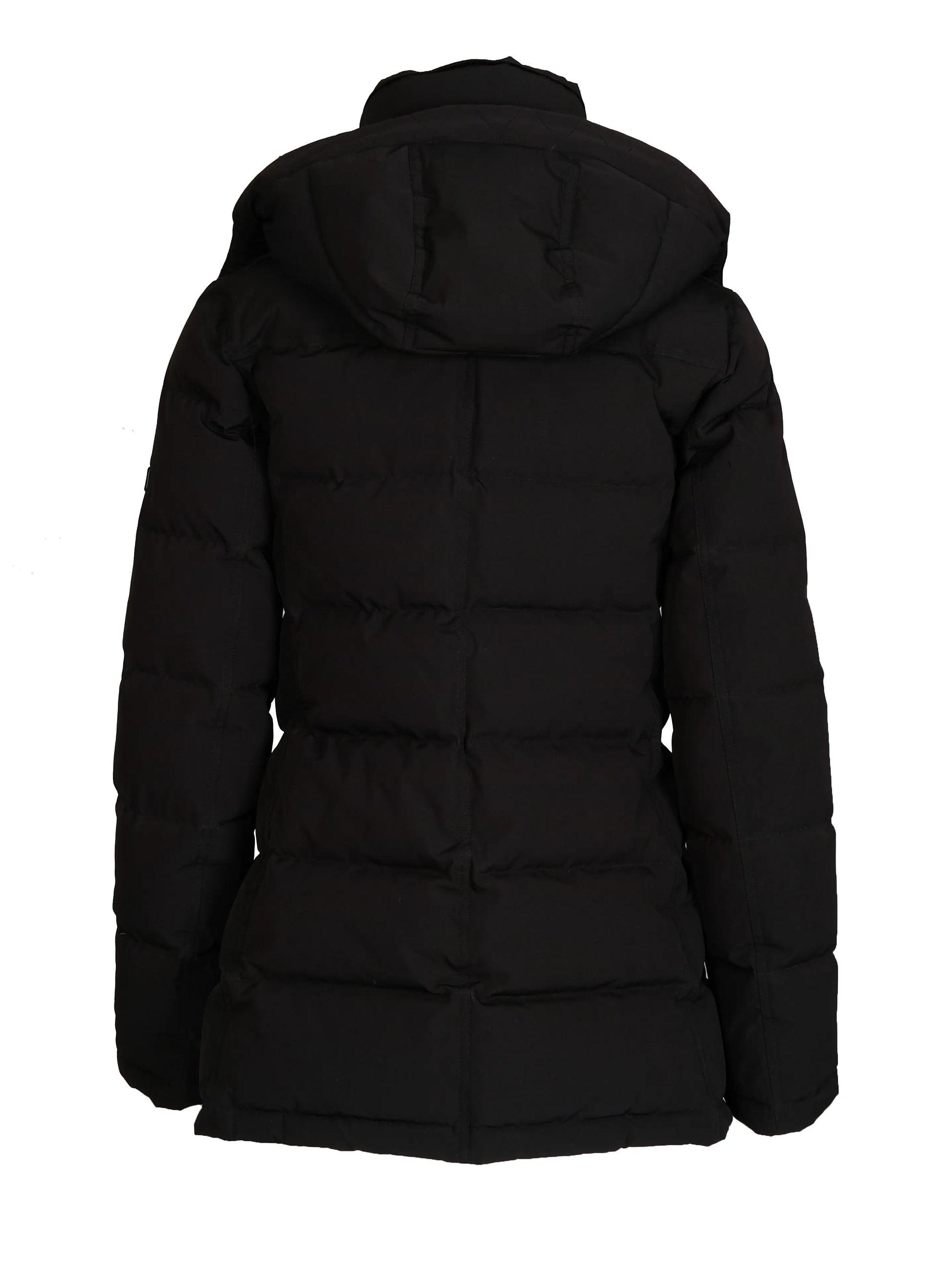 Brighton jacket Black Clermonte